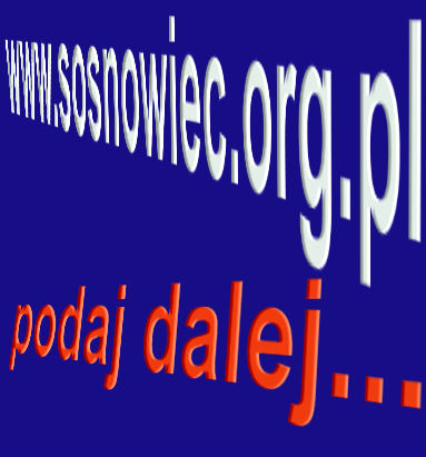 Kościół musi być w internecie Kościół musi być w internecie