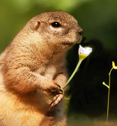 Wdzięczność ateisty