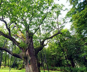 Ubezpieczalnia na śmierć?