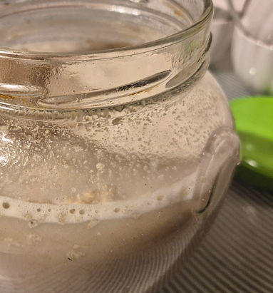 Kuchnia: zakwas wg. państwa G.